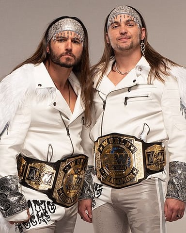 How many World Tag Team Championships have The Young Bucks won in total across AEW, ROH, NJPW, and AAA?