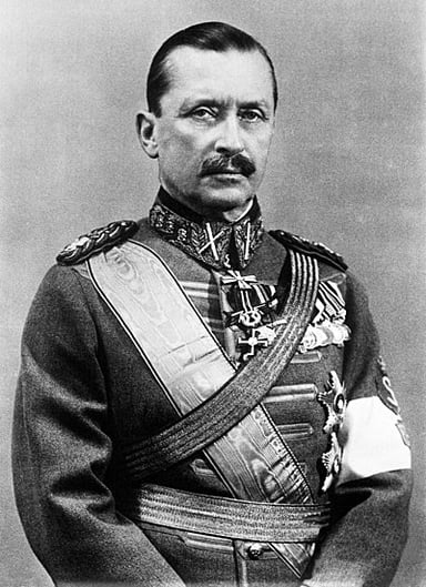 What was Mannerheim's role in the Finnish Red Cross?