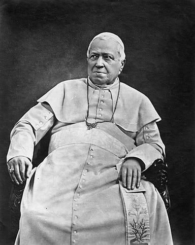 Which council did Pius IX convene in 1868?