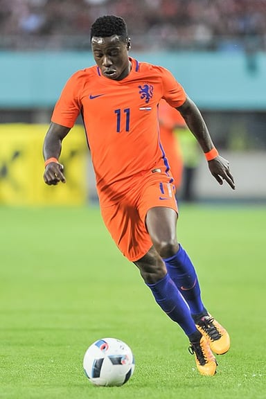 Which national team did Quincy Promes represent?