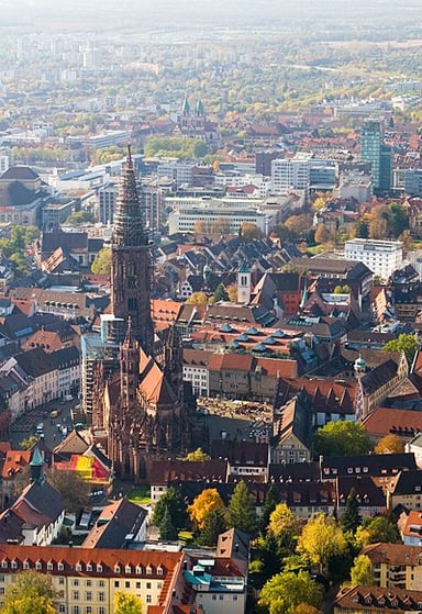 Which famous forest is located near Freiburg im Breisgau?