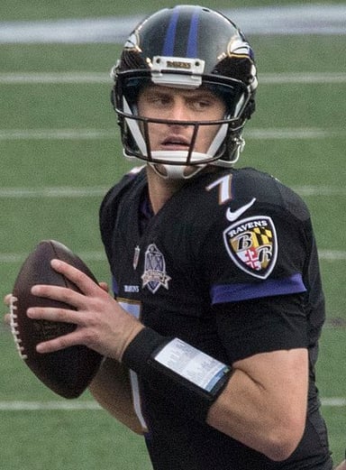For which college teams did Ryan Mallett play football?