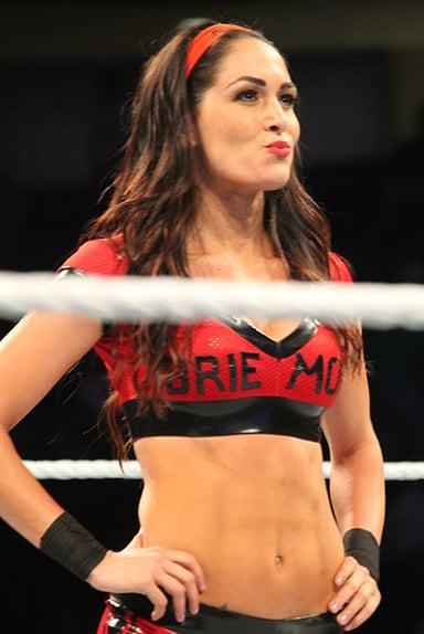 How many times did Brie Bella win the WWE Divas Championship?
