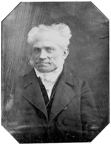 Which of the following has been Arthur Schopenhauer's employer?
