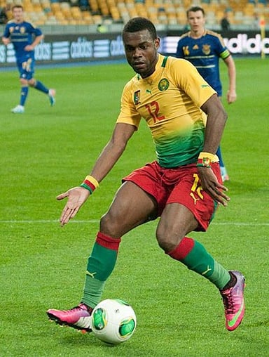 How many goals did Henri Bedimo score for the Cameroon national team?