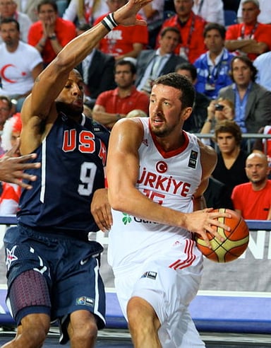 Which college did Hedo Türkoğlu attend before playing professional basketball?