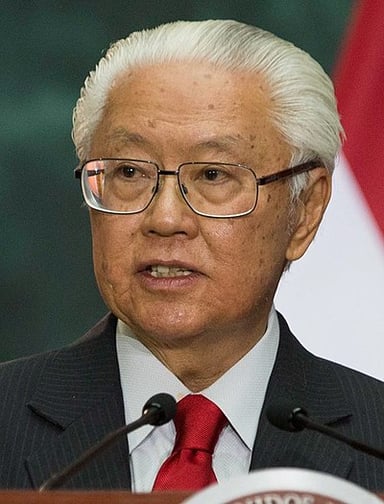 What was the duration of Tony Tan's term as president of Singapore?
