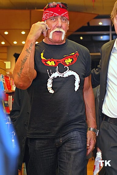 What is the city or country of Hulk Hogan's birth?