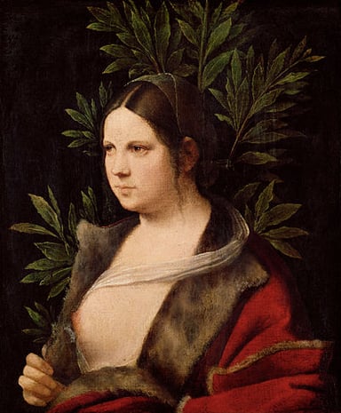 What type of quality do Giorgione's works often portray?