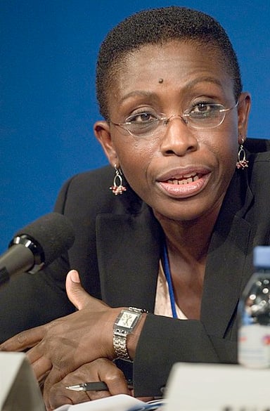 What is Antoinette Sayeh's current position at the International Monetary Fund (IMF)?