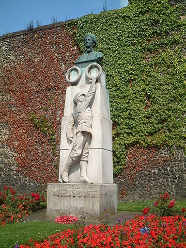 Edith Cavell was a pioneer of what in Belgium?