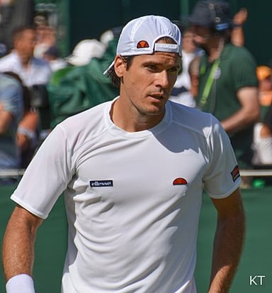When was Tommy Haas born?