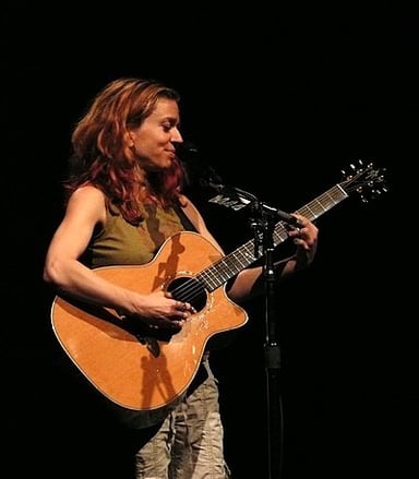 Ani DiFranco's lyrics often touch on which themes?