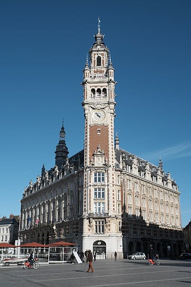 What is the area of Lille's municipal territory?