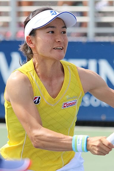 When did Shuko Aoyama reach the semifinals at Wimbledon?
