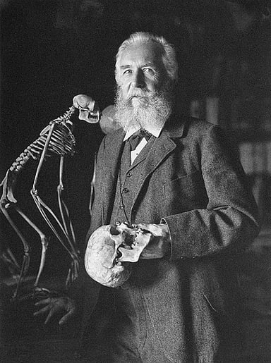 What field of biology did Haeckel contribute significantly to?