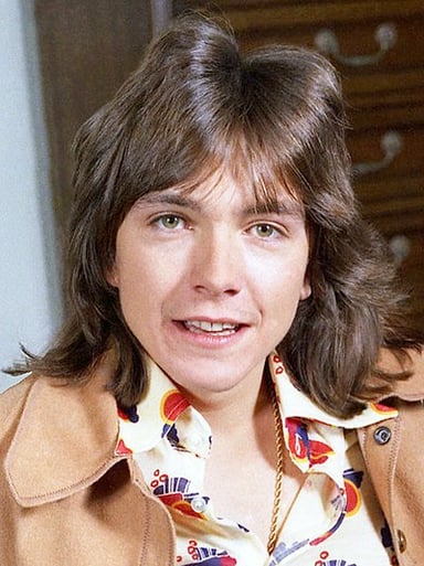 David Cassidy featured alongside which actor in the short-lived sitcom "Ruby & The Rockits"?