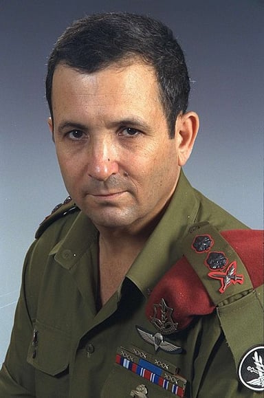Did Ehud Barak play a part in combat missions?