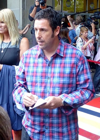What are Adam Sandler's most famous occupations?[br](Select 2 answers)