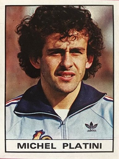 Who was France National Association Football Team's head coach between 1984 - 1988?
