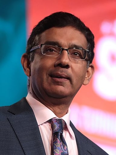 D'Souza was pardoned during which year of Trump's presidency?