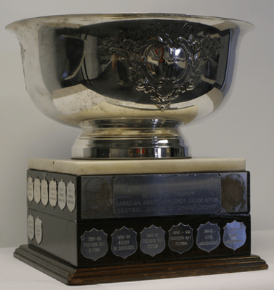 Which major ice hockey trophy was named after W.A. Hewitt?