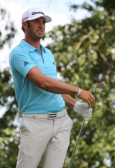 In what year was Dustin Johnson born?