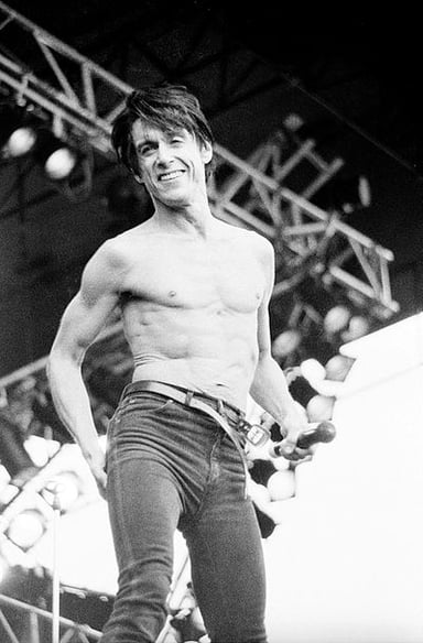 Which band was Iggy Pop the lead singer of?