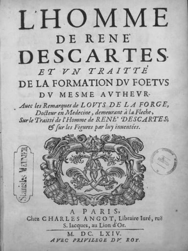 What does René Descartes look like?