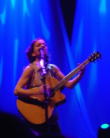 Which influence is NOT typically found in Ani DiFranco's music?