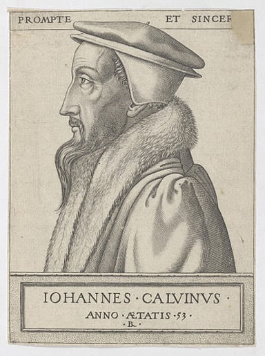 Where did John Calvin receive their education?