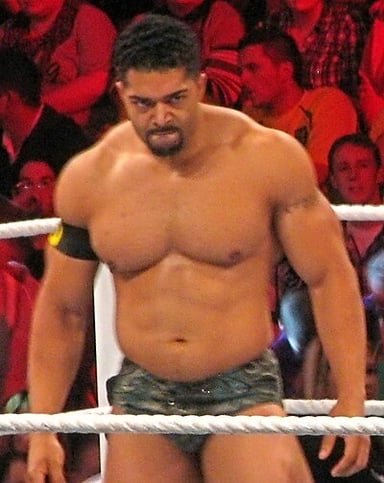 Which professional wrestling company is David Otunga famous for working with?