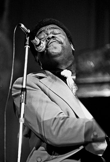 Who declared Fats Domino as the "real king of rock'n' roll"?