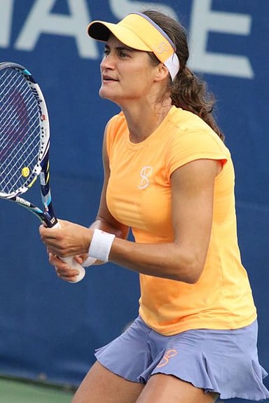 How many singles titles has Monica Niculescu won on the WTA Tour?