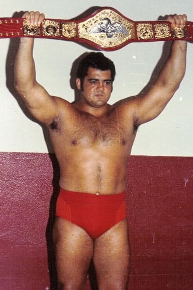 Did Pedro Morales win the WWWF World Heavyweight Championship?
