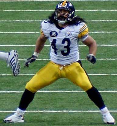 How many times was Troy Polamalu selected for the Pro Bowl?