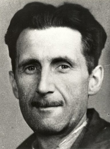 Which of the following fields of work was George Orwell active in?