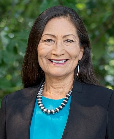 What party does Deb Haaland belong to?