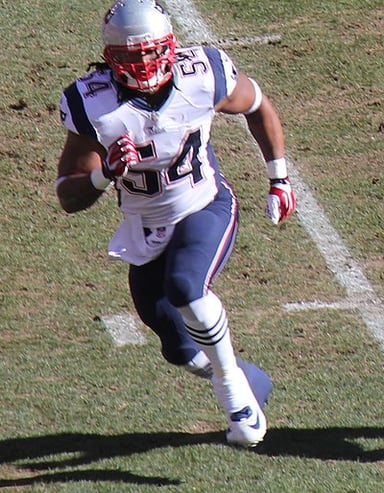 Did Dont'a Hightower receive consensus All-American honors in college?