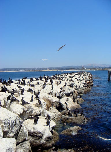 What is the land area of Monterey, California?
