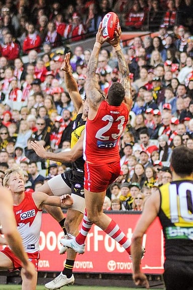 Who are the Sydney Swans' biggest rivals?