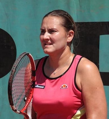 What was the last professional match Petrova played before retiring?