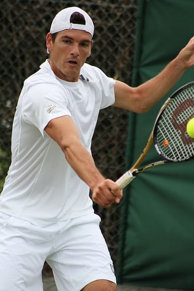 Is Dancevic active in professional tennis as of 2021?