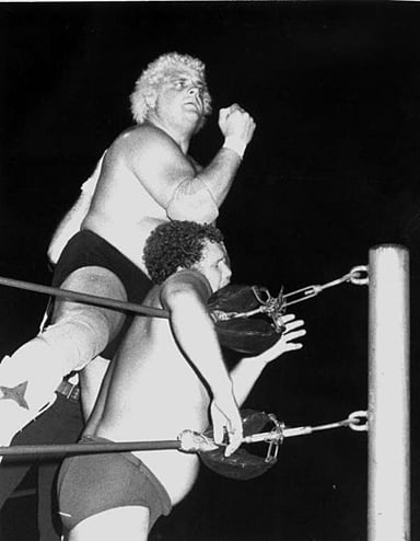 In what decade did Dusty Rhodes debut as a professional wrestler?