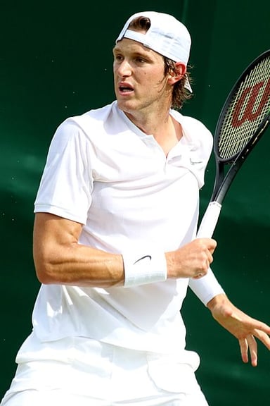 In which year did Nicolás Jarry achieve his highest ATP singles ranking?