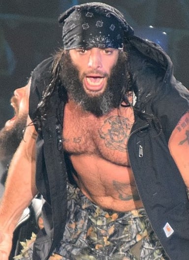 How many total titles have the Briscoe Brothers held together across all promotions?