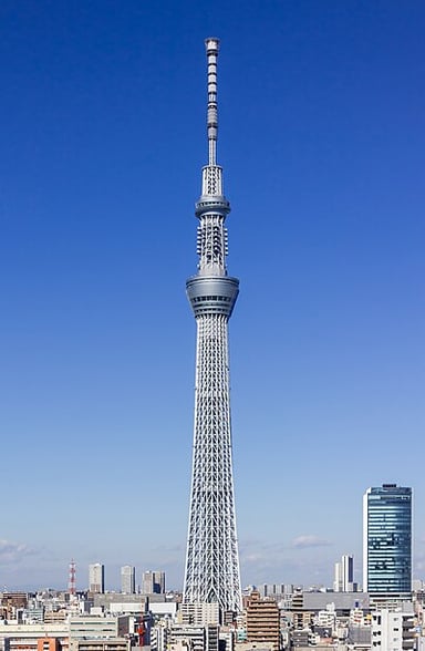 What is the elevation above sea level of Tokyo?