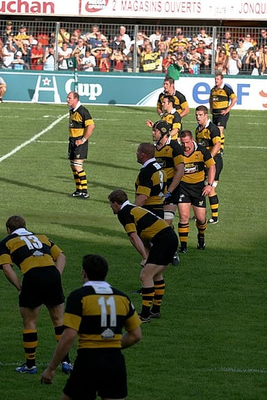 In which year did Wasps RFC win the European Rugby Challenge Cup?