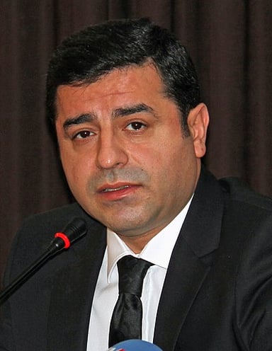 What is Selahattin Demirtaş's profession besides politics?