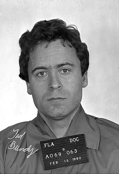 What is Ted Bundy's eye colour?